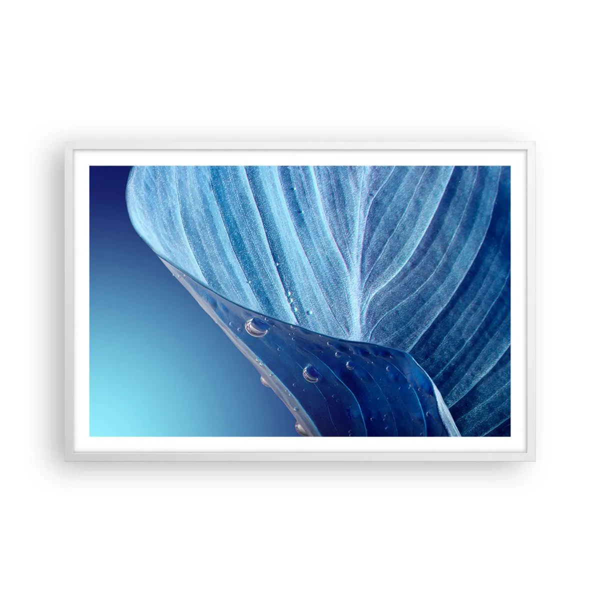 Poster în ramă albă - Picături ascunse de albastru - 91x61 cm