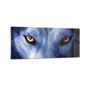 Tablou pe sticlă - O privire hipnotizantă - 100x40 cm