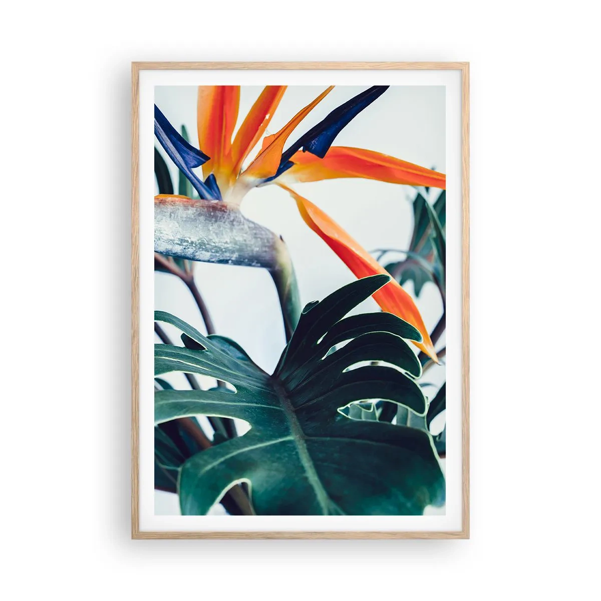 Poster în ramă de stejar deschis - Tufiș sau pasăre? - 70x100 cm