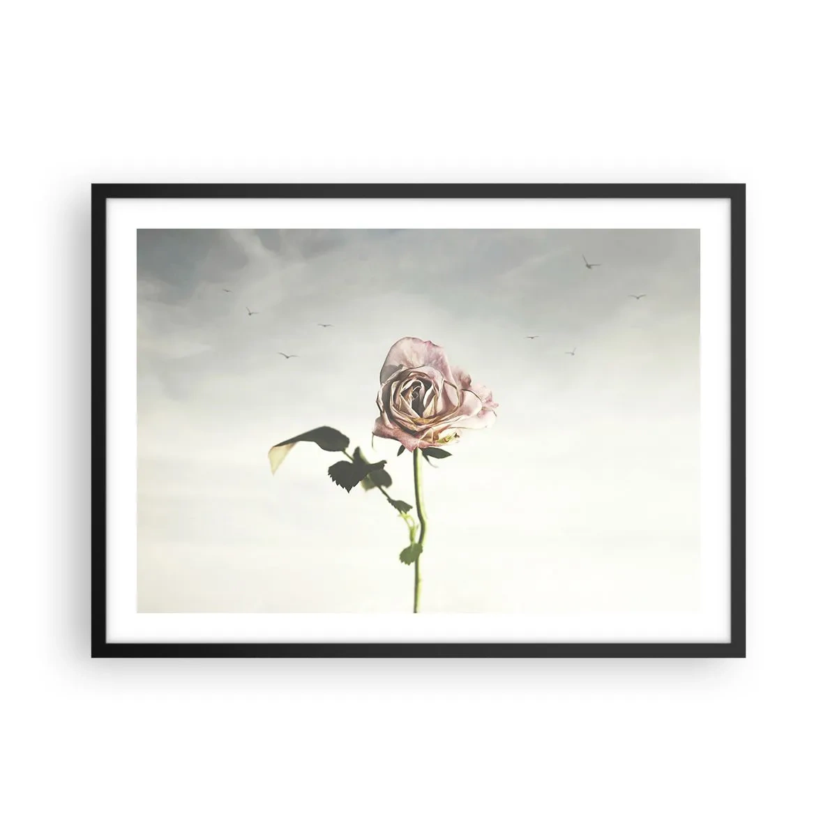 Poster în ramă neagră - Primăvara binevenită - 70x50 cm