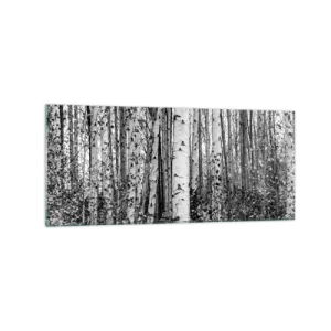 Tablou pe sticlă - Coloane de mesteacăn - 120x50 cm