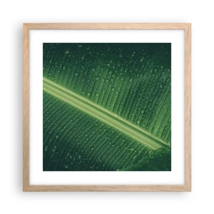 Poster în ramă de stejar deschis - Structura verdelui - 40x40 cm