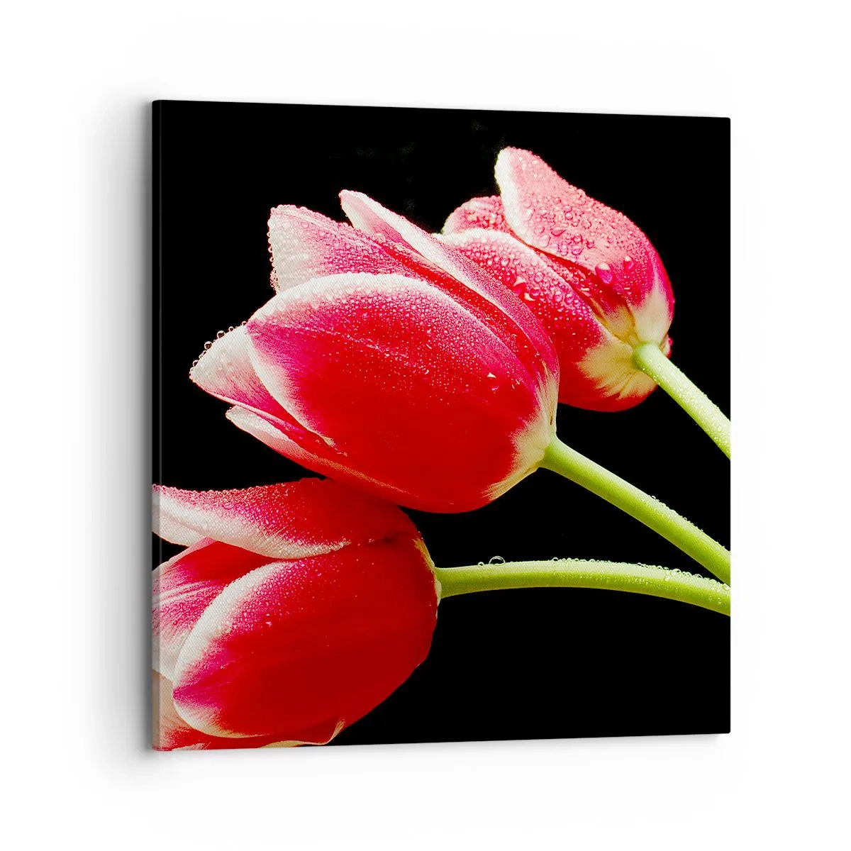 Tablou pe pânză - Promisiunea unei iubiri pure - 70x70 cm