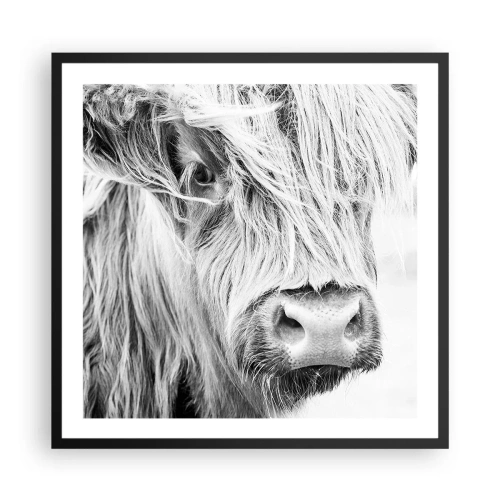 Poster în ramă neagră - Sălbăticie scoțiană - 60x60 cm