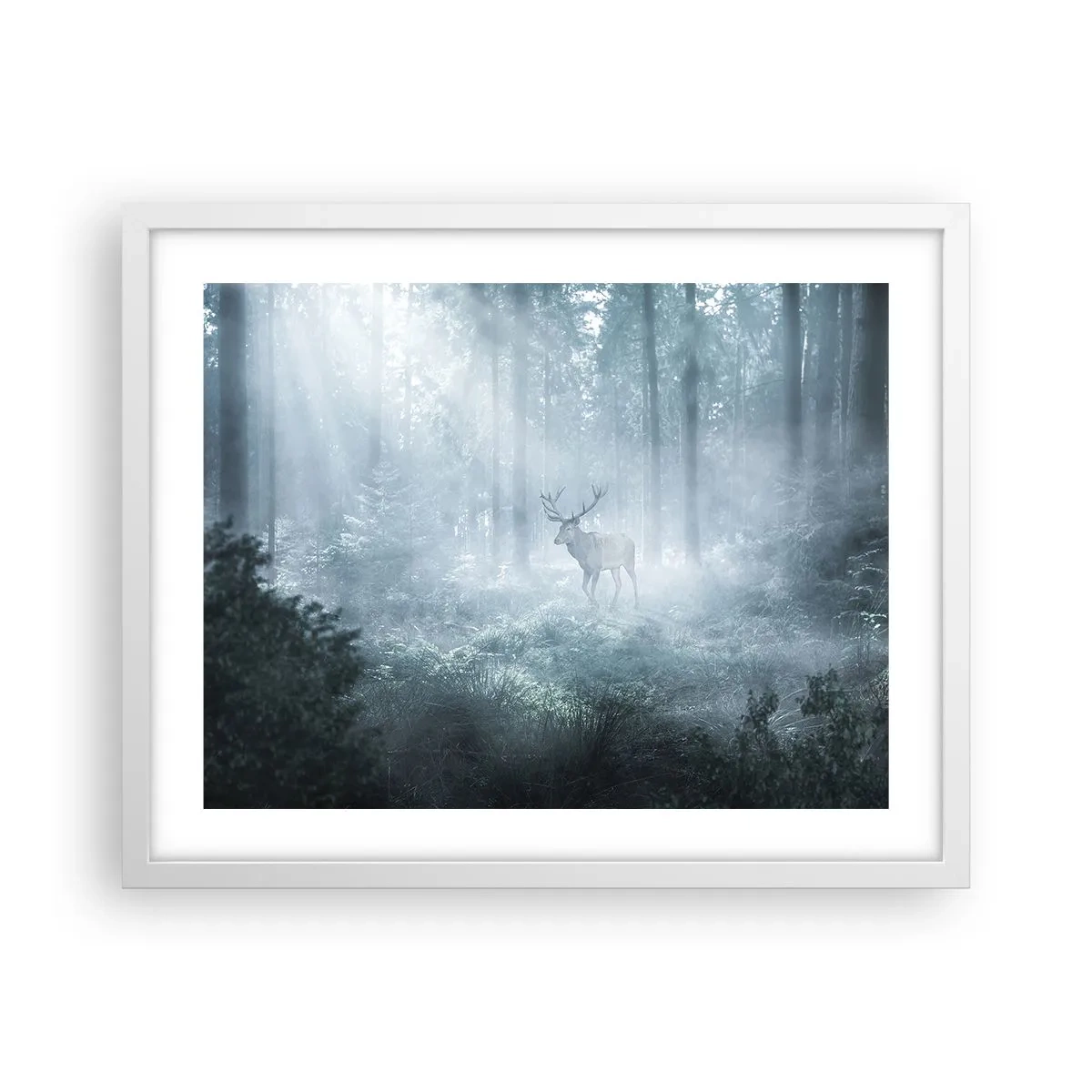 Poster în ramă albă - Plimbarea de dimineață prin regat - 50x40 cm