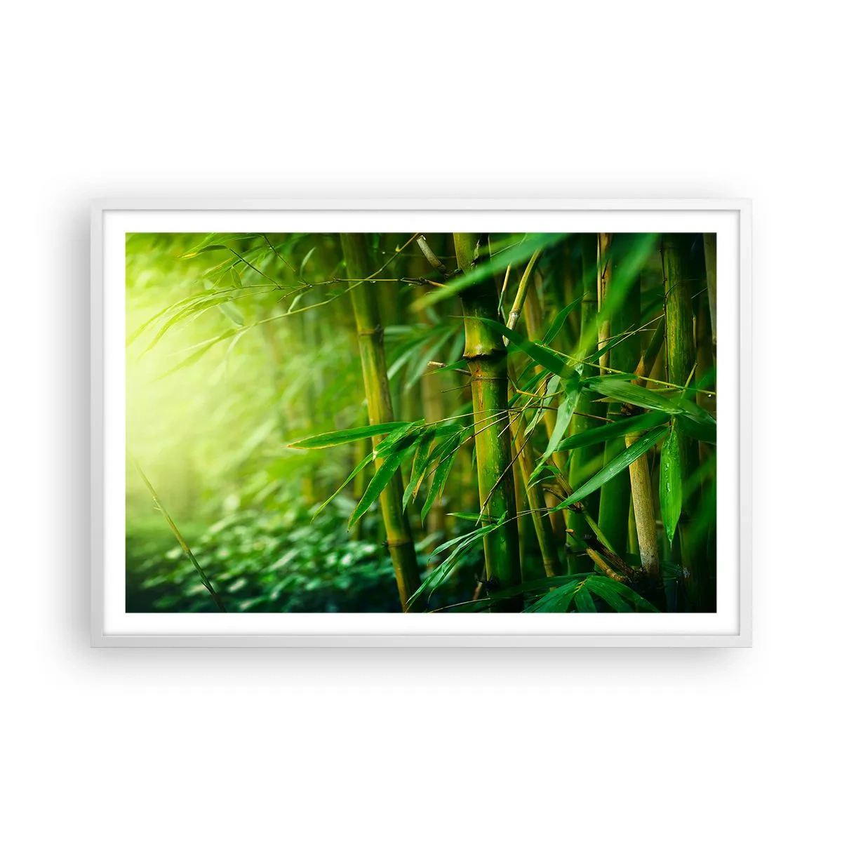Poster în ramă albă - Cunoașteți verdeața în sine - 91x61 cm