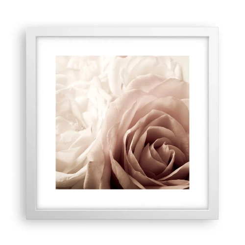 Poster în ramă albă - În inima unui trandafir - 30x30 cm