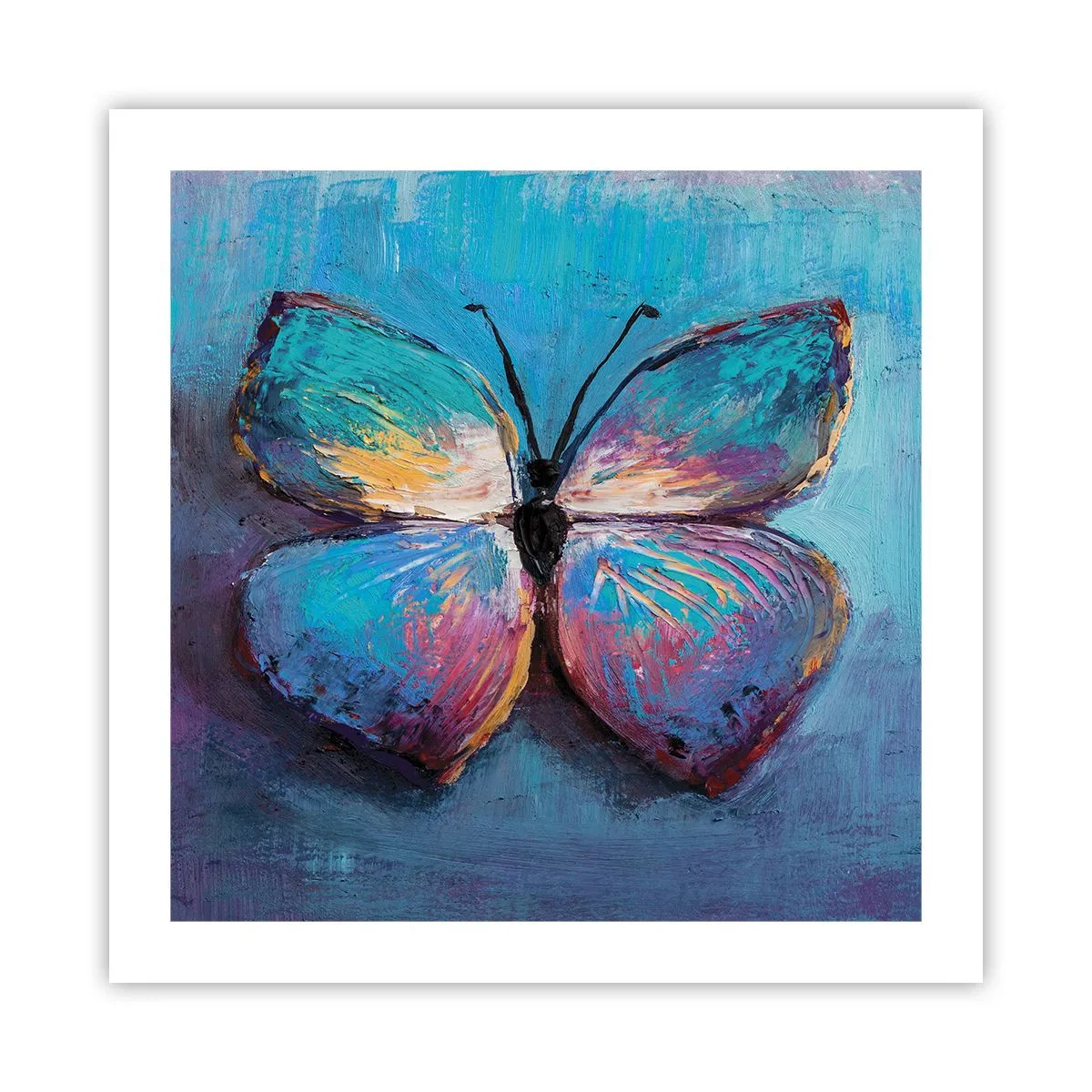 Poster - În plină glorie - 50x50 cm