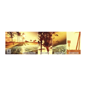 Mostră tapet autocolant Deluxe Sticker - California după-amiază - Peisaj, plajă, Palmier de nuca de cocos - 100x30 cm