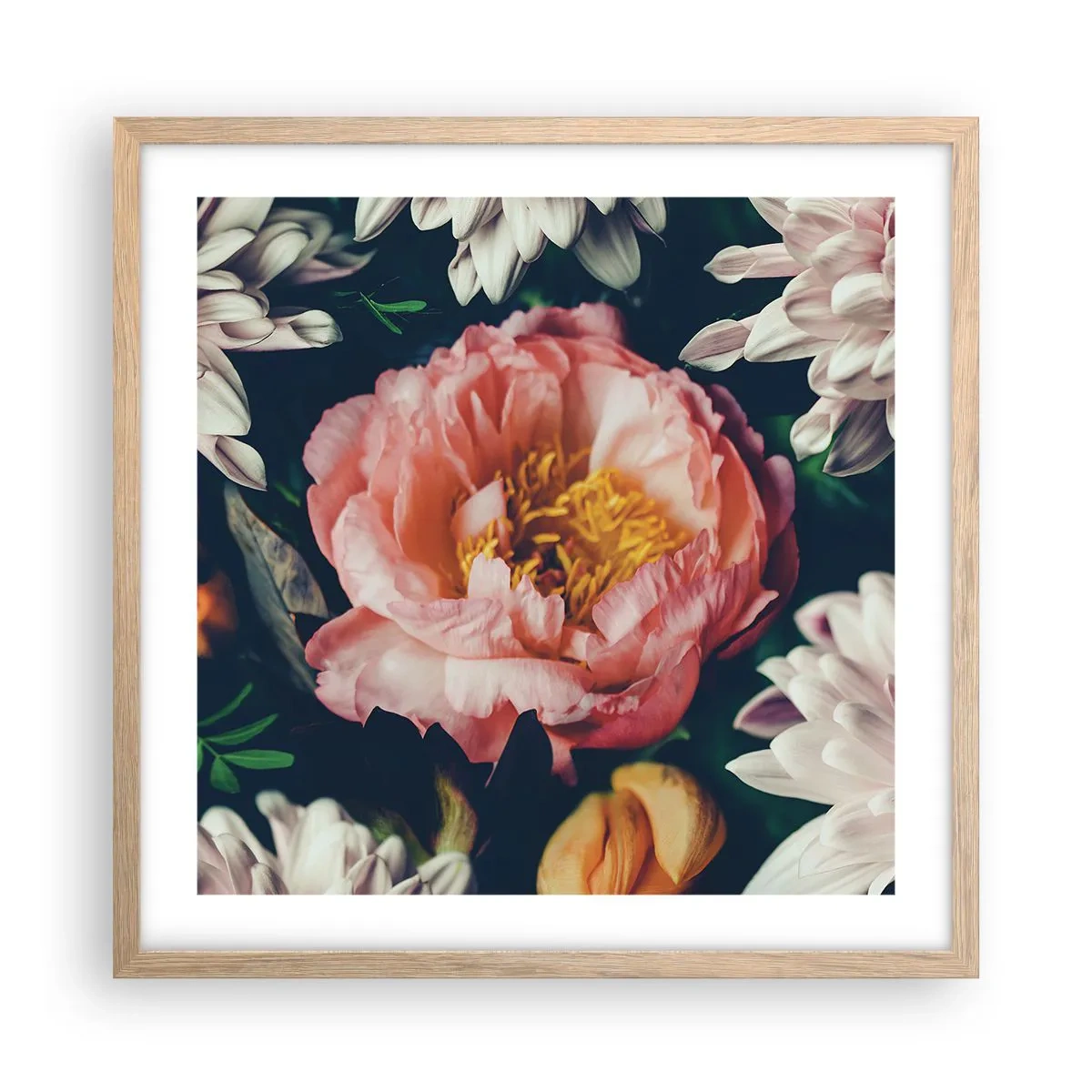 Poster în ramă de stejar deschis - Cu splendoare barocă - 50x50 cm