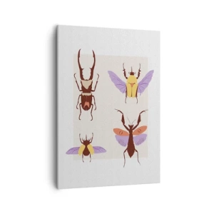 Tablou pe pânză - Lumea insectelor - 50x70 cm