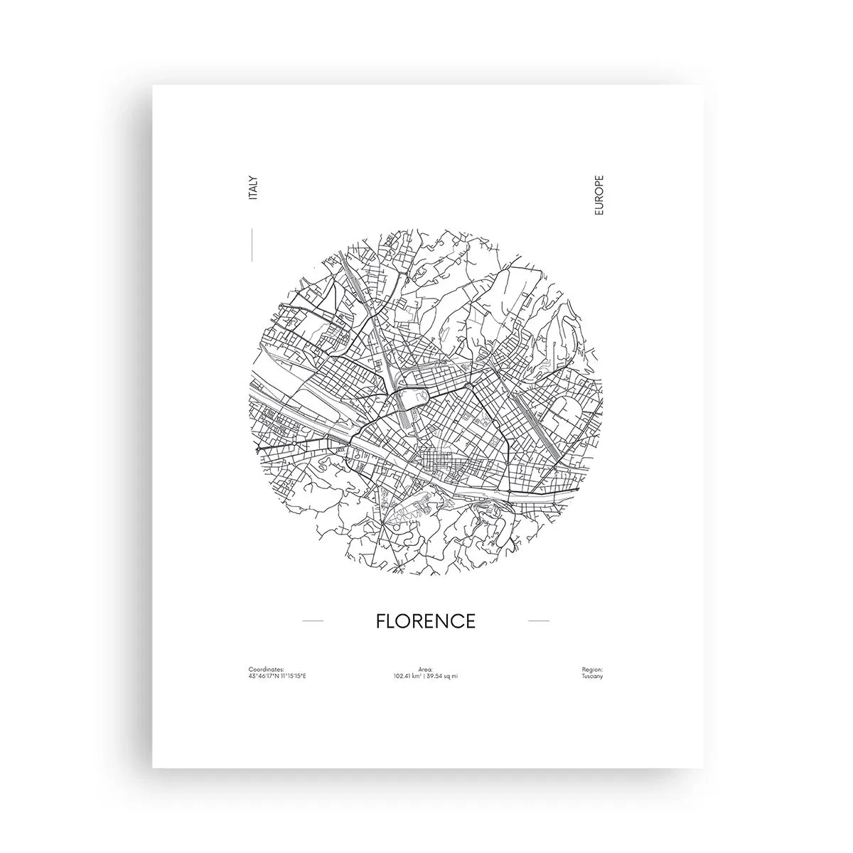 Poster - Anatomia Florenței - 40x50 cm