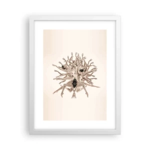 Poster în ramă albă - Înflorirea în dans - 30x40 cm