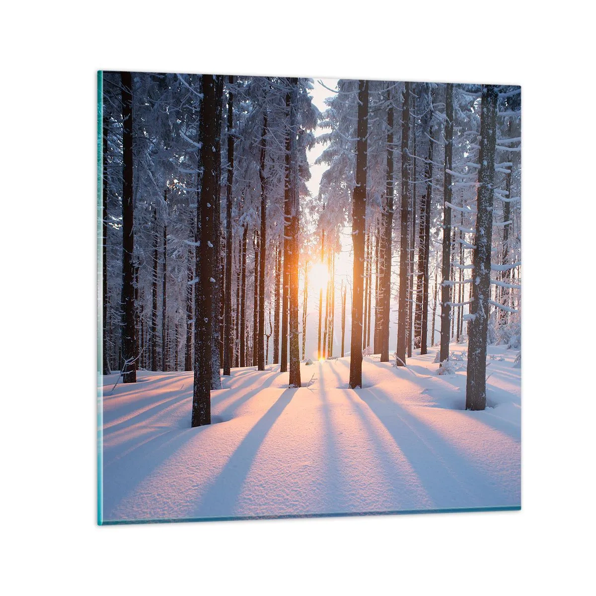 Tablou pe sticlă - În mod clar în alb și negru - 30x30 cm