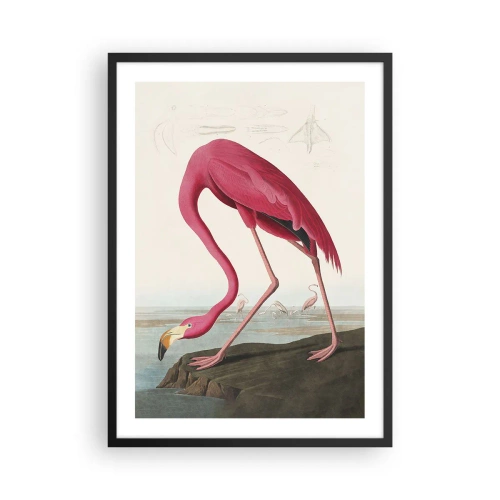 Poster în ramă neagră - Un flamingo roz pe fundalul unui peisaj natural - 50x70cm - O creatură uimitoare - Decorațiune modernă pentru perete pentru living și dormitor ARTTOR