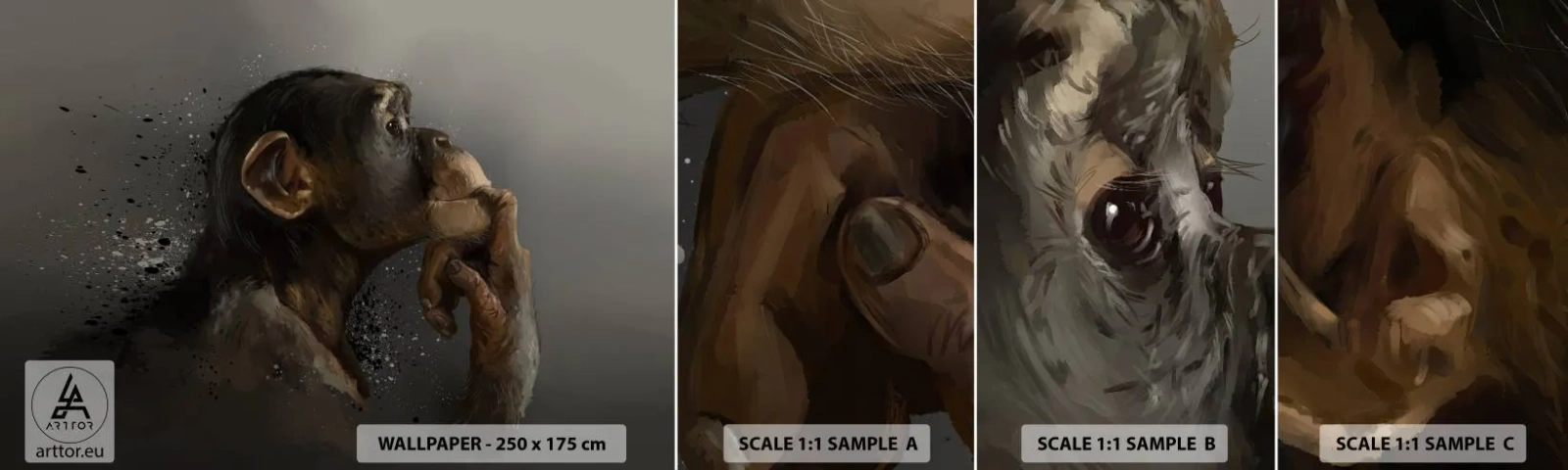 Mostră de Tapet Standard Eco - Cu siguranță, gânditorul - Animale, Maimuţă, Bucată - 100x30 cm