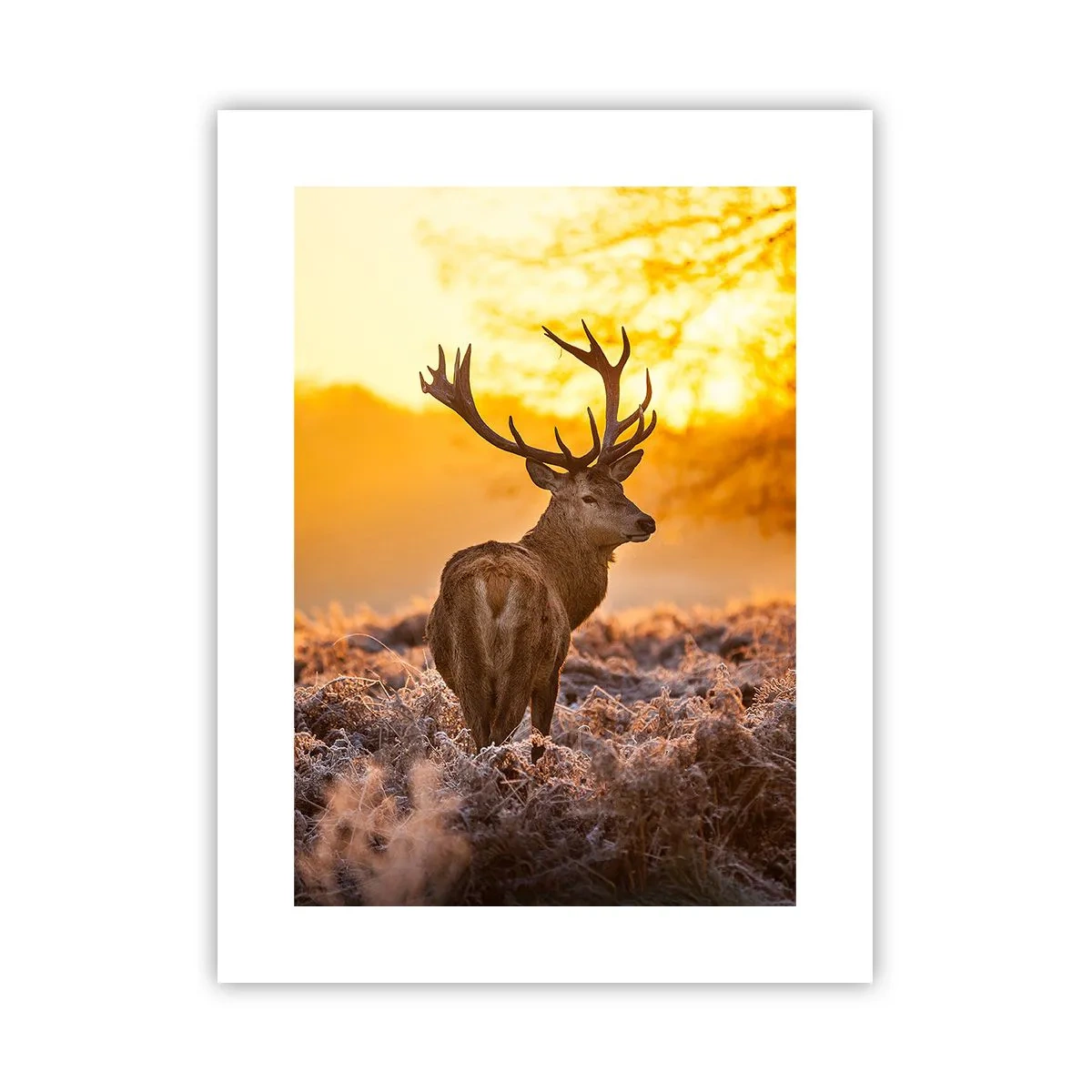 Poster - Regele pădurii de toamnă - 30x40 cm