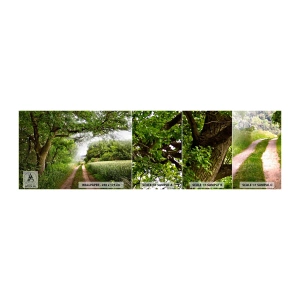 Mostră tapet autocolant Deluxe Sticker - Et in Arcadia ego - Peisaj, Drum noroios, Natură - 100x30 cm