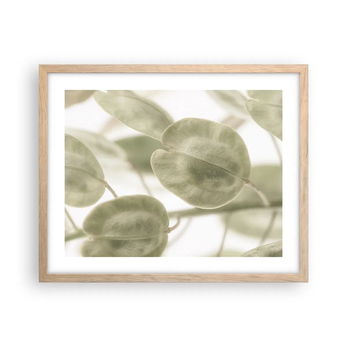 Poster în ramă de stejar deschis - La început au fost frunzele... - 50x40 cm