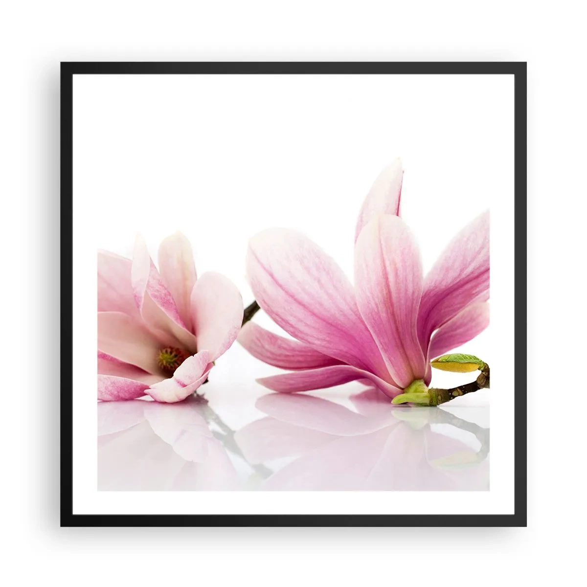 Poster în ramă neagră - Delicate ca o adiere de primăvară - 60x60 cm