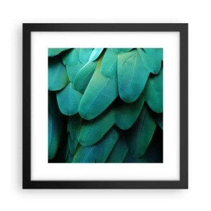 Poster în ramă neagră - Precizia naturii papagalicești - 30x30 cm