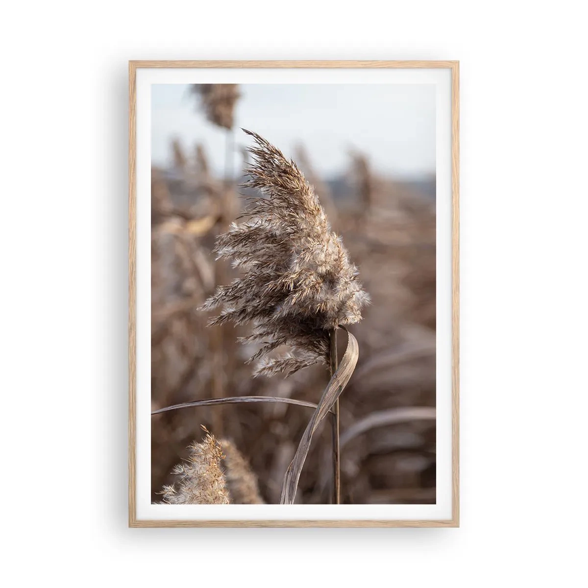 Poster în ramă de stejar deschis - E timpul să zbori cu vântul - 70x100 cm