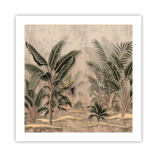Poster - Gravură în stil colonial - 50x50 cm