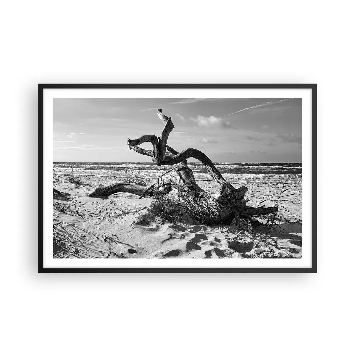 Poster în ramă neagră - Sculptură marină - 91x61 cm