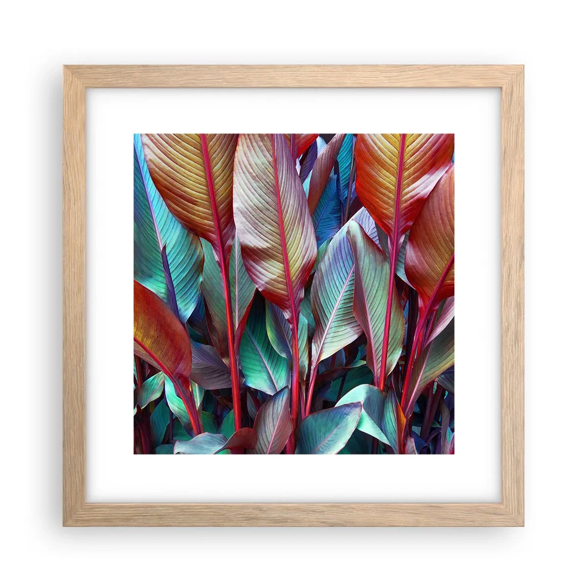 Poster în ramă de stejar deschis - Tufiș colorat - 30x30 cm