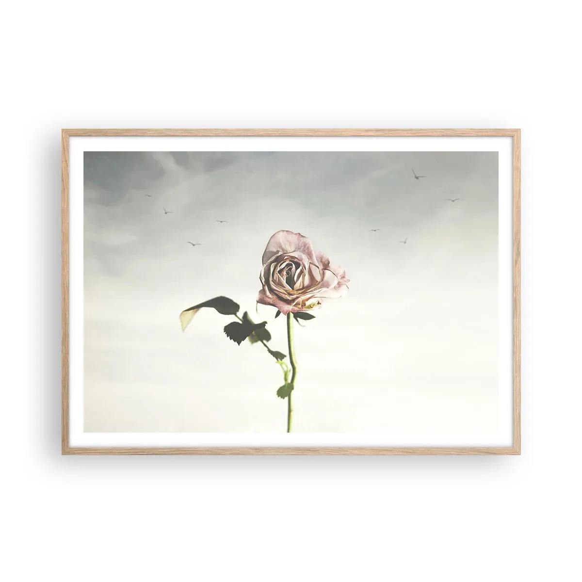 Poster în ramă de stejar deschis - Primăvara binevenită - 100x70 cm
