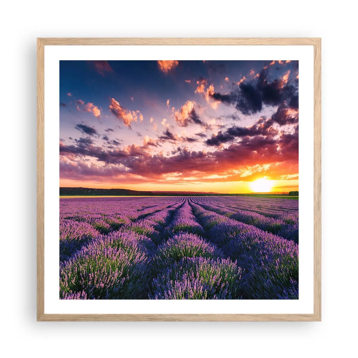 Poster în ramă de stejar deschis - Lumea lavandei - 60x60 cm