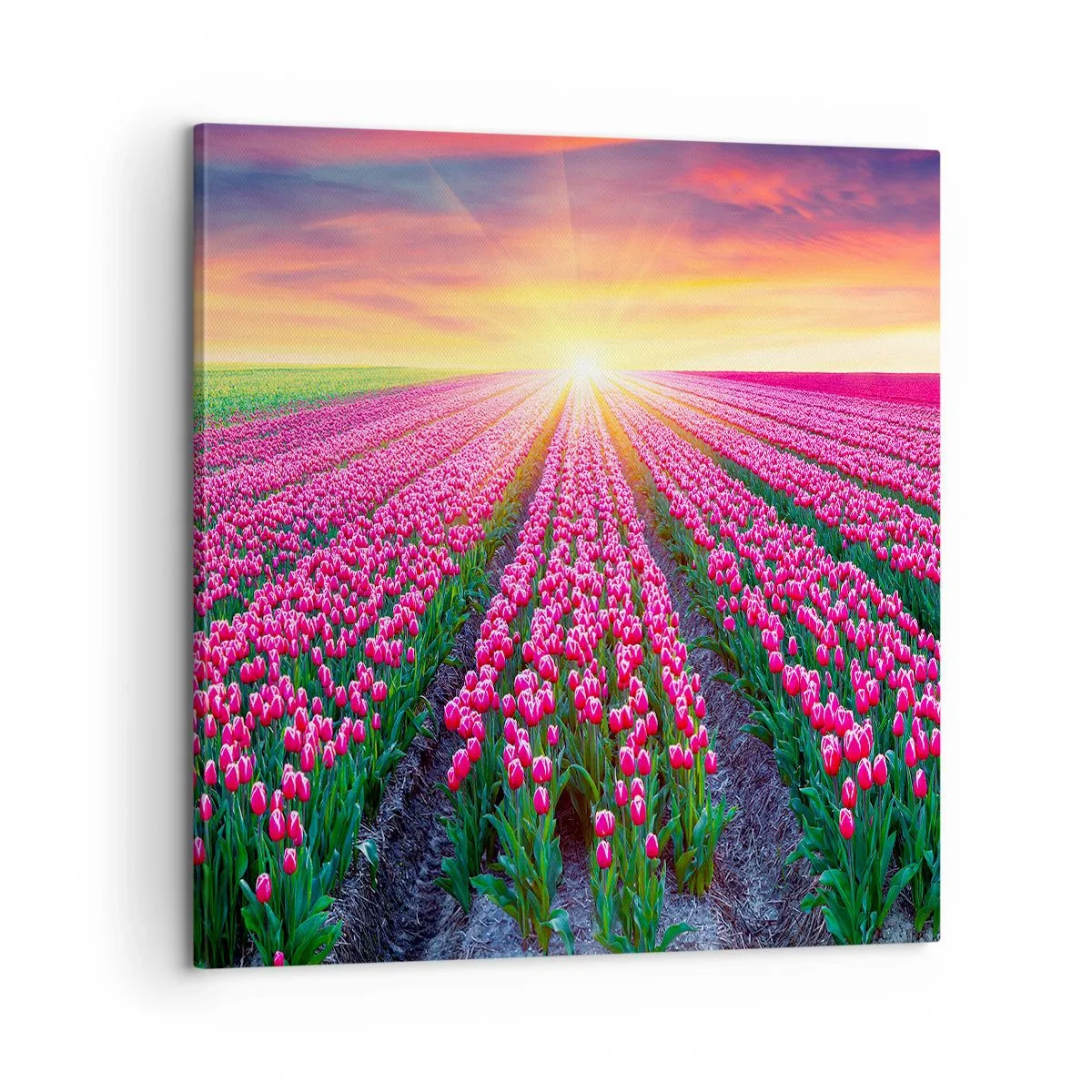 Tablou pe pânză - Ferma de frumusețe - 60x60 cm