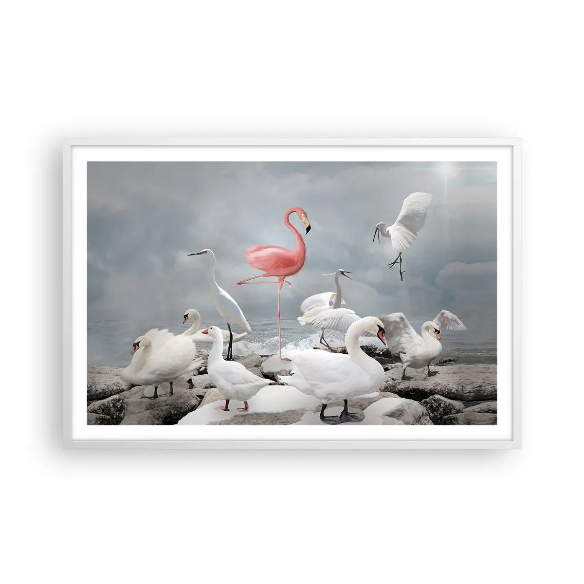 Poster în ramă albă - De unde am venit? - 91x61 cm