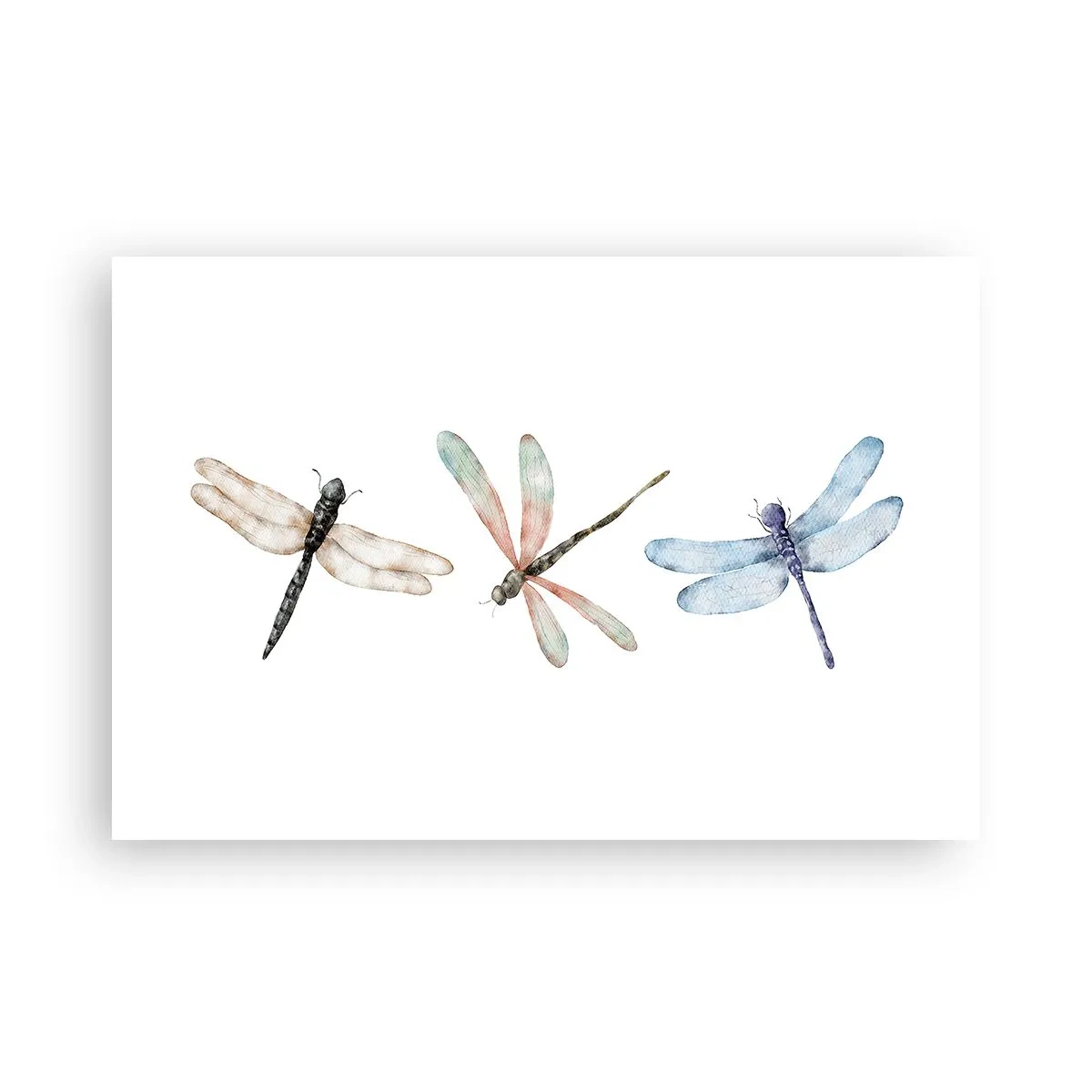 Poster - Libelule imponderabile - 91x61 cm