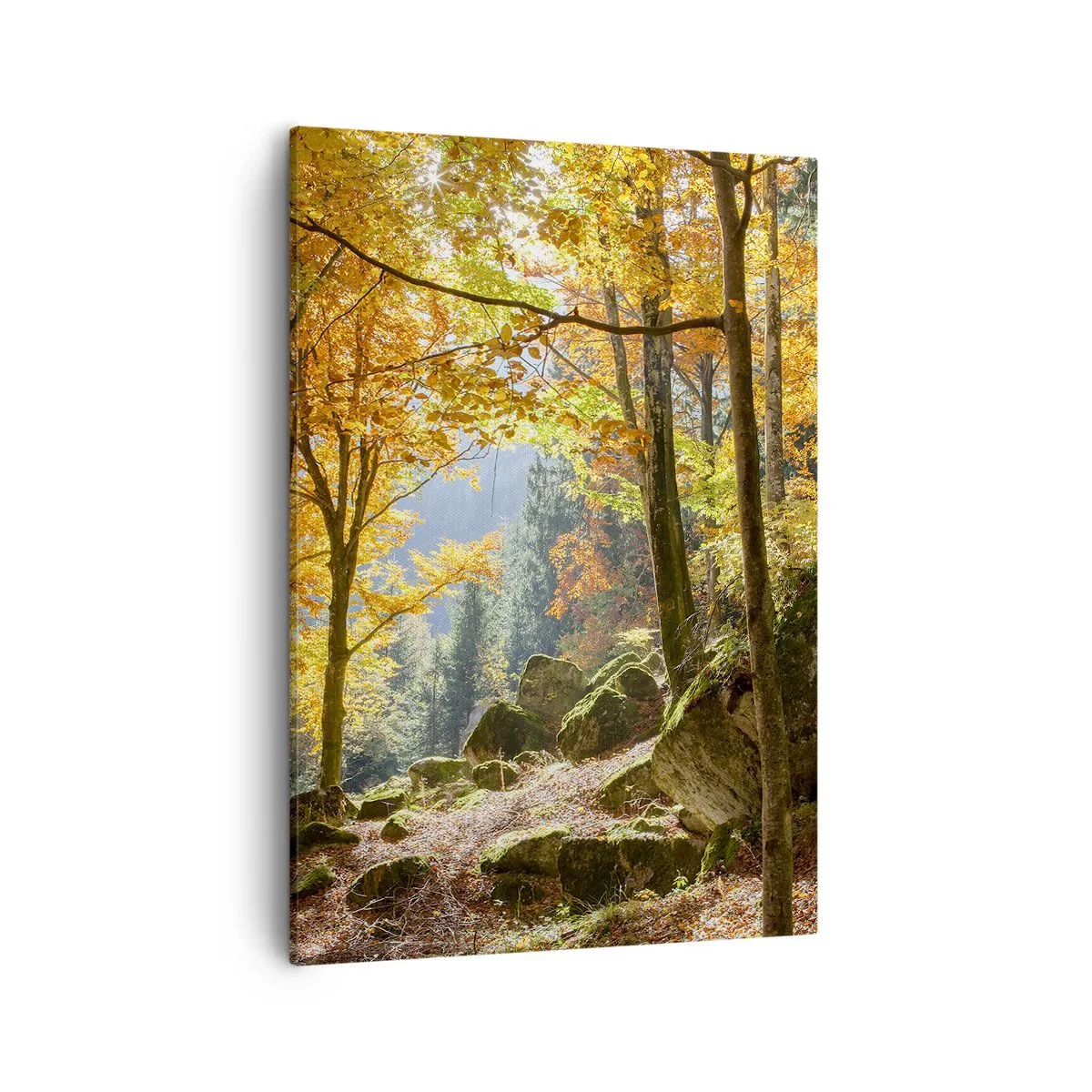 Tablou pe pânză - Timp de relaxare - 50x70 cm