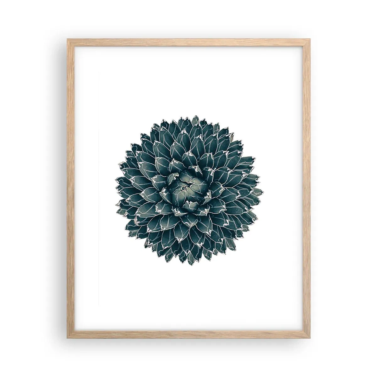 Poster în ramă de stejar deschis - Steaua deșertului - 40x50 cm