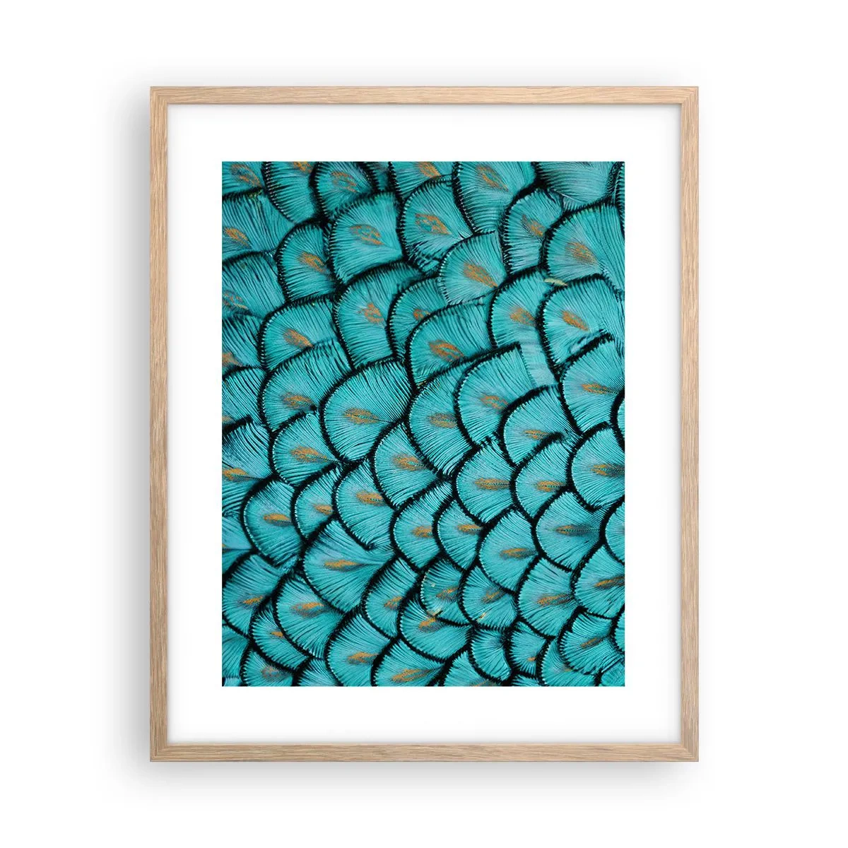 Poster în ramă de stejar deschis - Marea gală a penelor - 40x50 cm