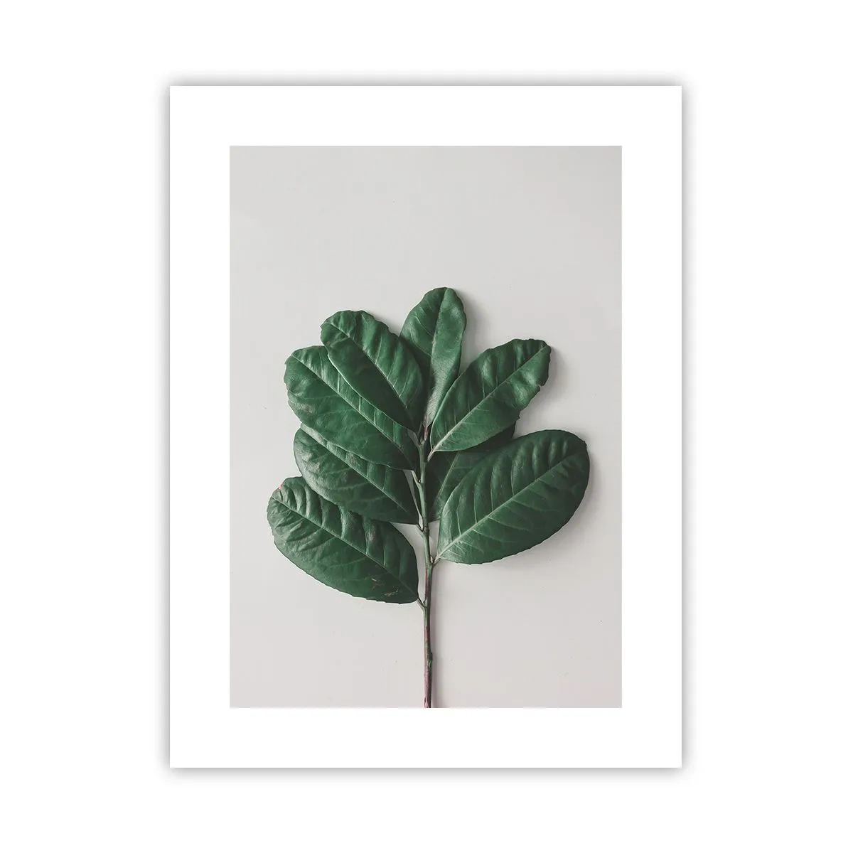 Poster - Desenul naturii însăși - 30x40 cm