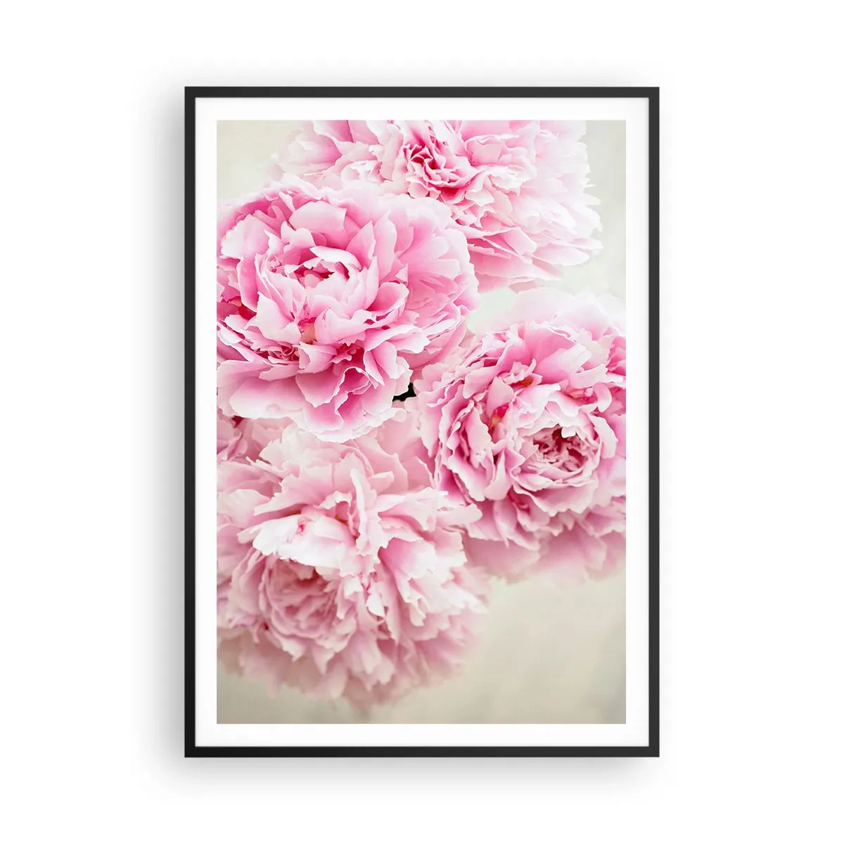 Poster în ramă neagră - În luxul roz - 70x100 cm