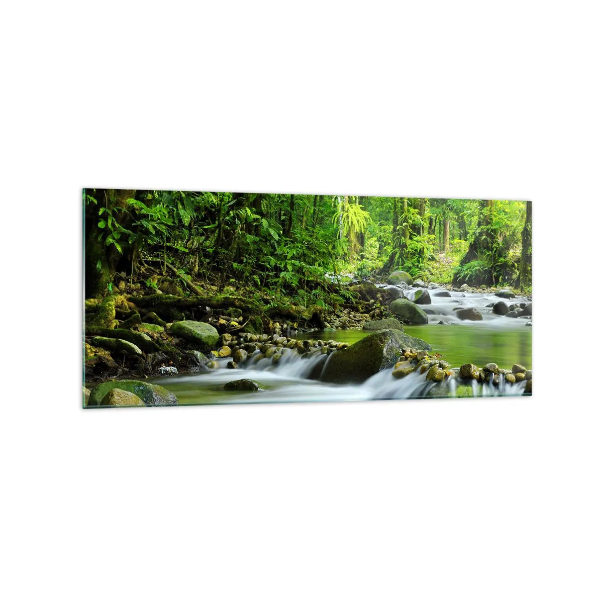 Tablou pe sticlă - Să înotăm într-o mare de verde - 120x50 cm