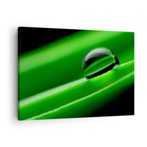 Tablou pe pânză Canvas - Prim-plan al unei picături de rouă pe o frunză verde - 70x50cm - Viața de aproape - Decorațiune modernă pentru perete pentru living și dormitor ARTTOR