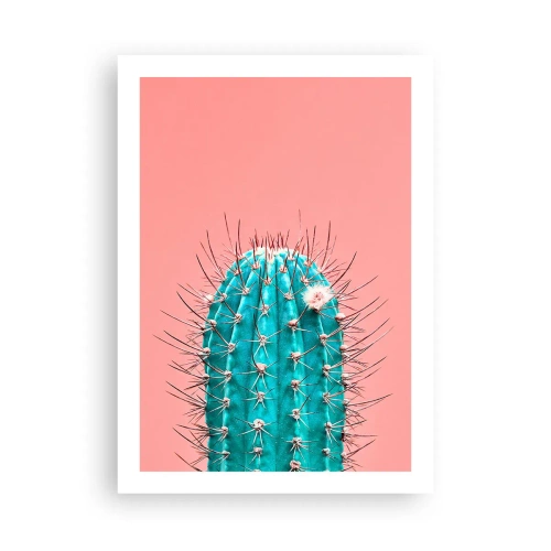 Poster - Doar privește - 50x70 cm