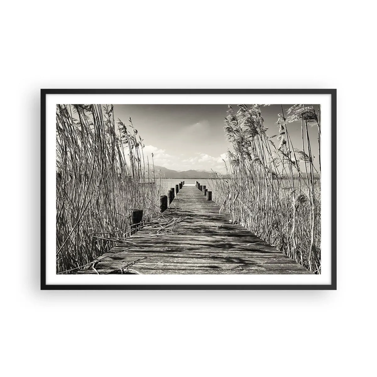 Poster în ramă neagră - În intimitatea ierburilor - 91x61 cm