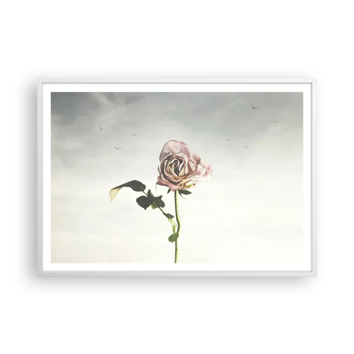 Poster în ramă albă - Primăvara binevenită - 100x70 cm