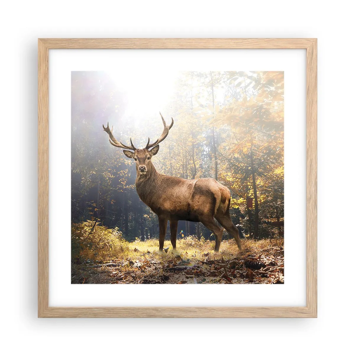 Poster în ramă de stejar deschis - Măreție calmă - 40x40 cm