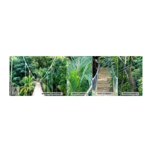 Mostră tapet Premium Canvas - Welcome to the jungle! - Peisaj, Junglă, Honduras - 100x30 cm