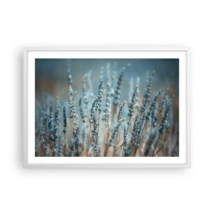 Poster în ramă albă - Câmpul parfumat - 70x50 cm