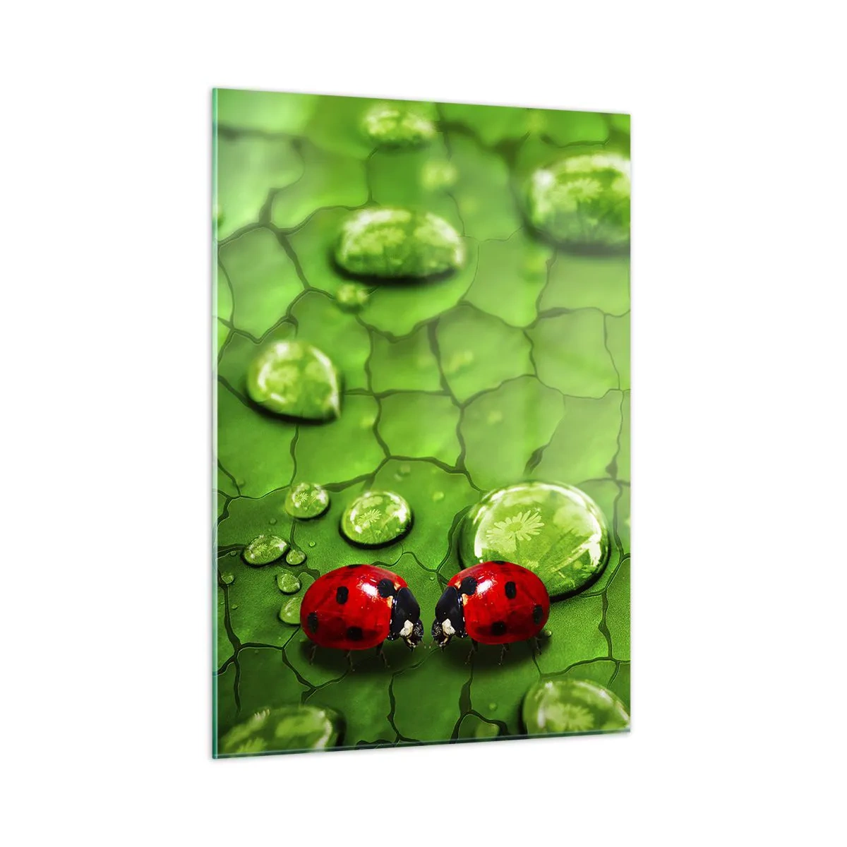 Tablou pe sticlă - Întâlnire în verde - 50x70 cm