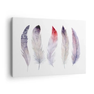 Tablou pe pânză Canvas - Cinci pene delicate în nuanțe pastelate pe un fundal deschis - 70x50cm - Delicate ca o ceață multicoloră - Decorațiune modernă pentru perete pentru living și dormitor ARTTOR