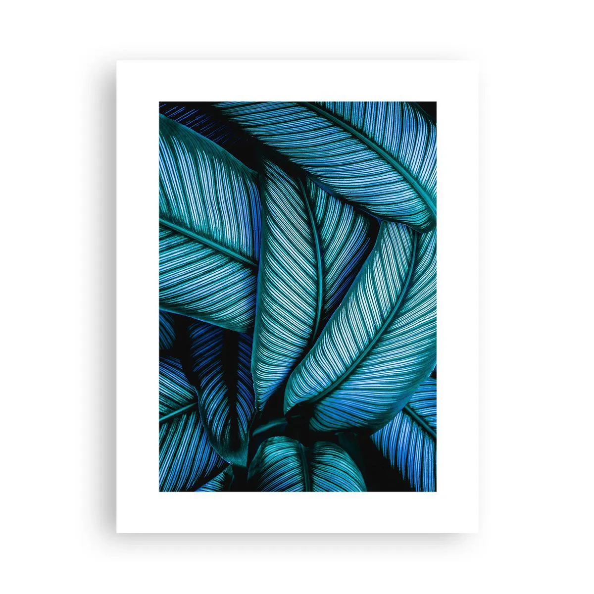 Poster - Linii de viață - 30x40 cm